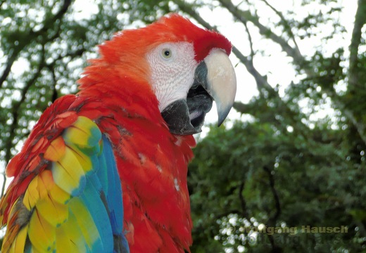 Honduras 12.2007