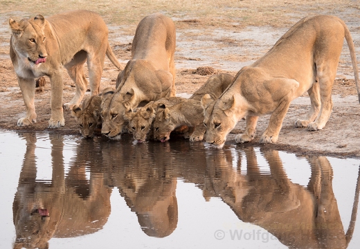 Botswana