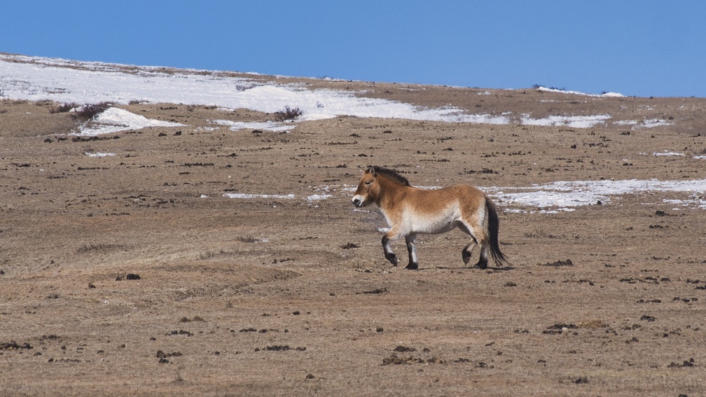 P1827742